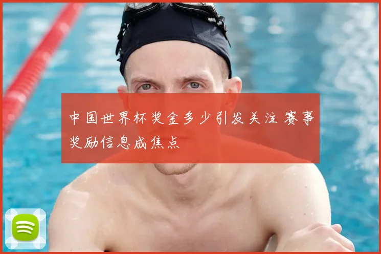 中国世界杯奖金多少引发关注 赛事奖励信息成焦点