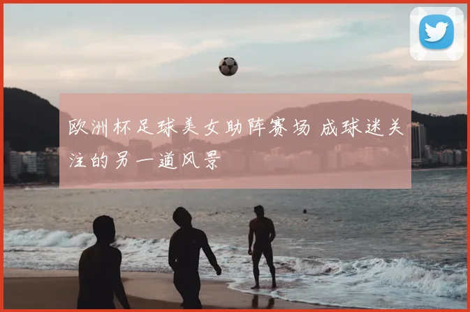 欧洲杯足球美女助阵赛场 成球迷关注的另一道风景