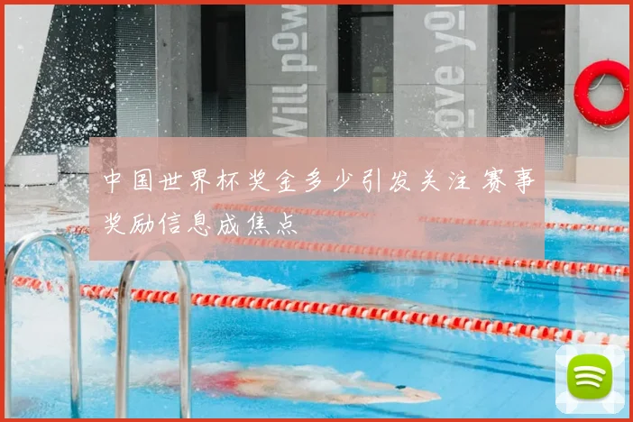中国世界杯奖金多少引发关注 赛事奖励信息成焦点