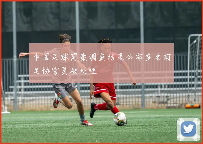 中国足球窝案调查结果公布多名前足协官员被处理