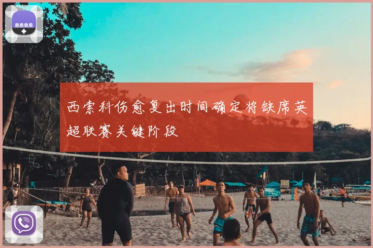 西索科伤愈复出时间确定将缺席英超联赛关键阶段