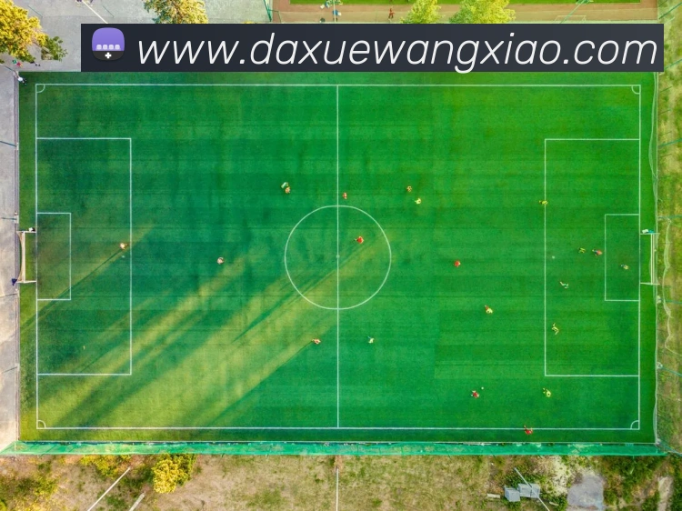 多媒体互动体验